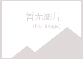 阳曲县梦松建设有限公司